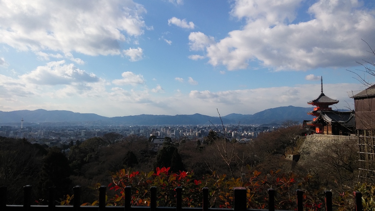 배경화면